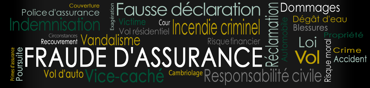 Le service de renseignements des assureurs